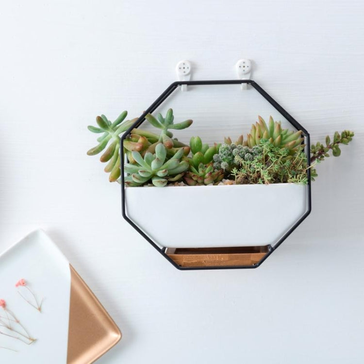 Octagonal wall planter table with succulents in a white tray and black iron frame