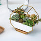 Octagonal wall planter table with succulents in a white tray and gold iron frame