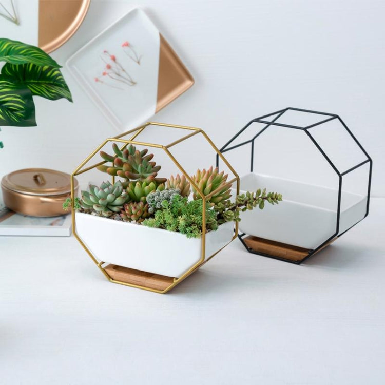 Two octagonal wall planter tables: gold frame with succulents, black frame with empty white tray