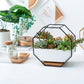 Octagonal wall planter table with succulents in a white tray and black iron frame