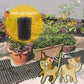 Black wire mesh pet deterrent barrier on garden walkway beside potted plants