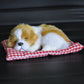 Plush sleeping dog ornament toy, white and light tan, in red plaid bed