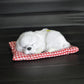 Plush sleeping dog ornament toy, white fur, in red plaid bed