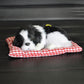 Plush sleeping dog ornament toy, black and white fur, in red plaid bed