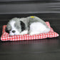 Plush sleeping dog ornament toy, gray and white fur, in red plaid bed