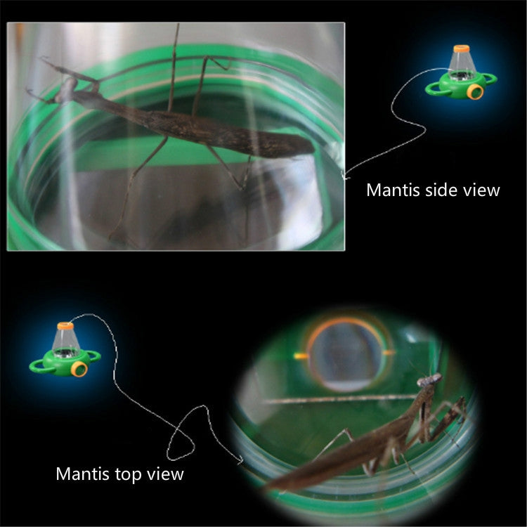 Handheld insect magnifier showing insect details through clear cone lens
