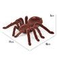 Brown plush remote-control spider toy, about 17cm long, 16cm wide, 5cm tall