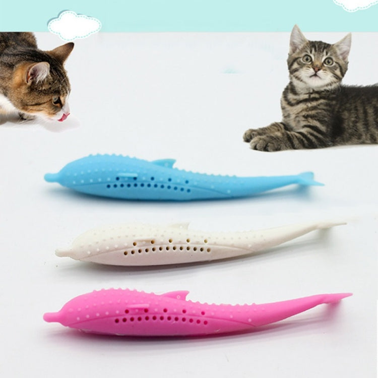 Silicone dolphin cat teeth cleaning toys in blue, white, and pink with dot texture