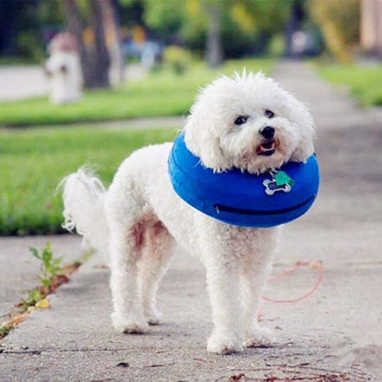 Blue inflatable pet collar worn on small white dog, padded neck support