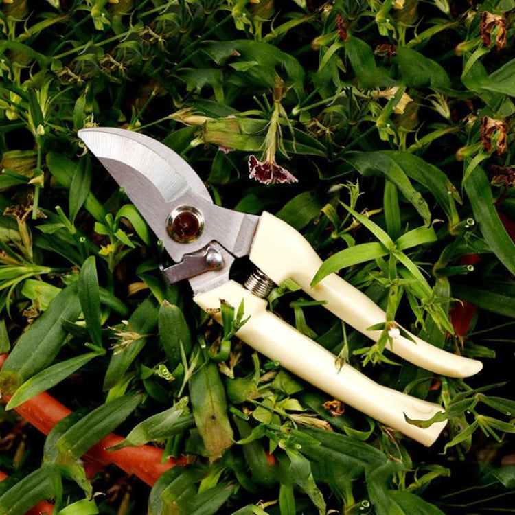 Stainless steel pruning shears with cream handles and curved cutting blades