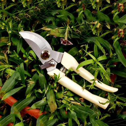 Stainless steel pruning shears with cream handles and curved cutting blades