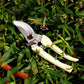 Spring-loaded pruning shears with cream grips and stainless curved blades