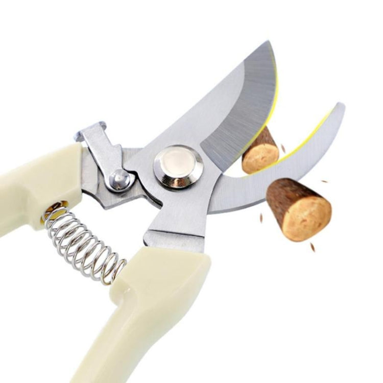 Pruning shears close-up with cream handles, stainless blades, and visible spring
