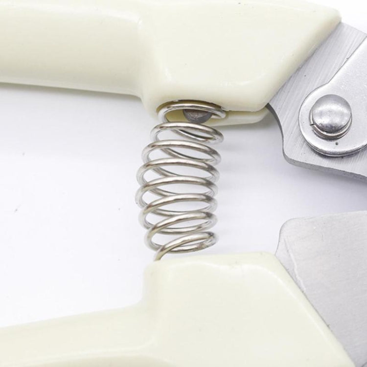 Close-up of spring and blade latch on cream-handled stainless pruning shears