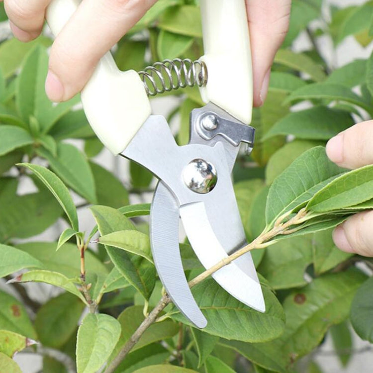 Pruning shears held by hands with cream handles and stainless curved blades