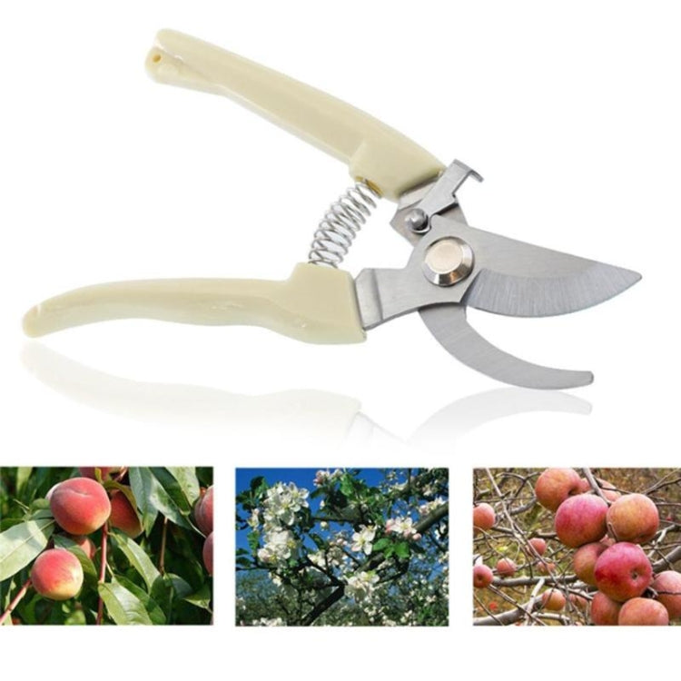 Stainless steel pruning shears with cream handles, curved blades, and spring