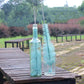 Set of two teal bottle brushes with long bristle heads, twisted wire stems, hanging loops