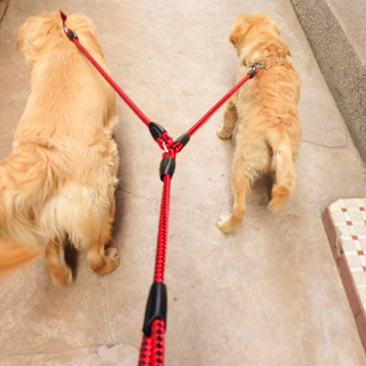 Red and black double-dog traction leash set with padded handle and twin leads
