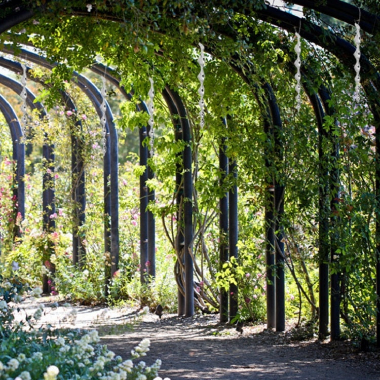 Bird-deterrent rotating rods with reflective chrome spirals along a garden walkway