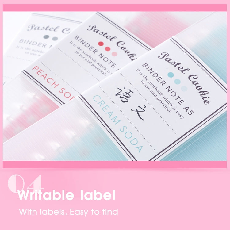 Loose-leaf binder notebook with labeled tab dividers in pastel colors