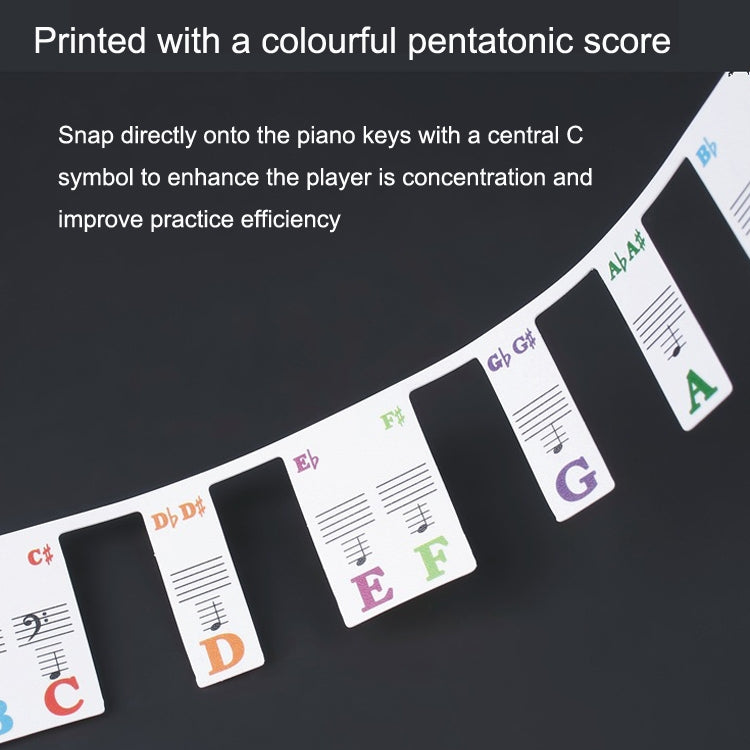 Close-up of imitation piano key stickers with colorful note markers on key tops.