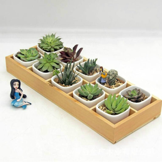 Wooden succulent storage box with 10 square cells and white plant pots, landscape decor