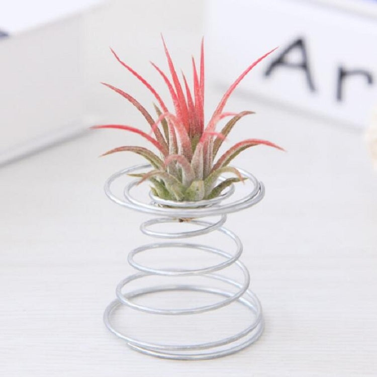 Pineapple rooting holder with red pineapple top in silver coil spring base