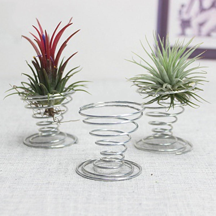 Set of pineapple rooting holders with metal spring bases: red and green plants