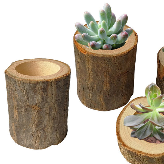 Set of log planters showing small succulent plants in round cutouts.