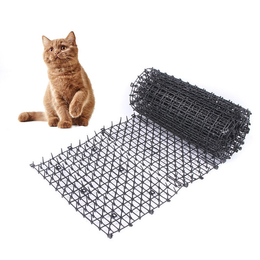 Black plastic anti-cat thorn net barrier roll with dense spiked mesh, with cat
