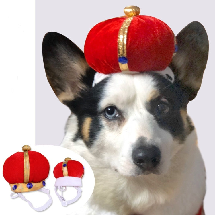 Red plush pet crown hat with gold trim and blue jewel accents on an animal head with ears.