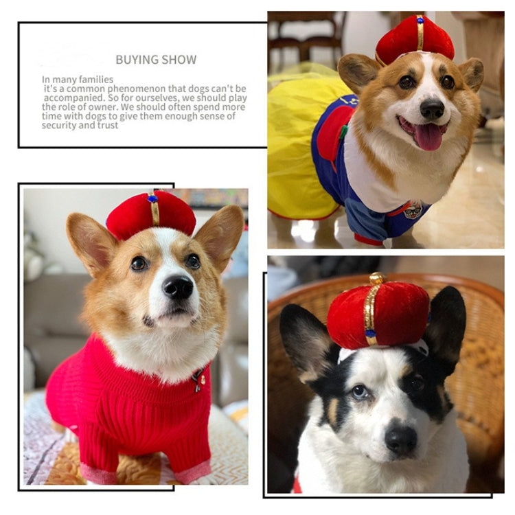 Pet crown hat worn by a dog: red plush crown with gold trim, blue gems, and white chin strap.