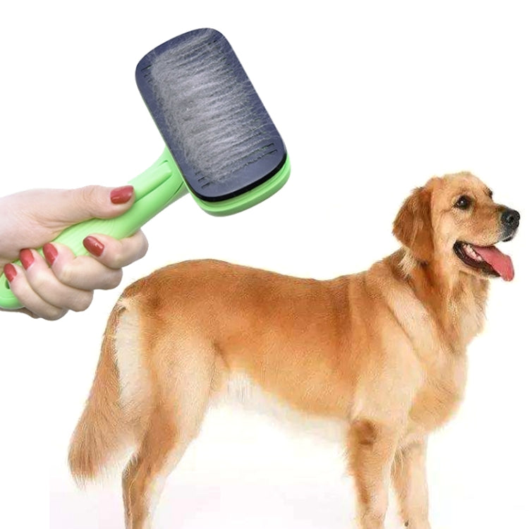 Green pet hair removal comb with black bristle head brushing dog coat
