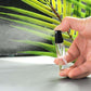 Hand holding a small clear perfume spray bottle with black atomizer head