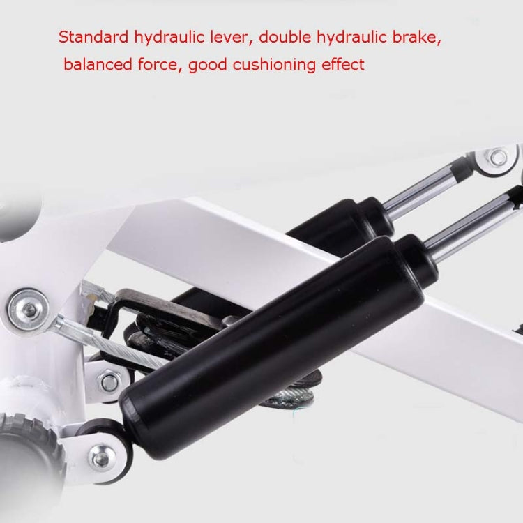 Hydraulic lever and double brake cylinder on a white fitness stepper