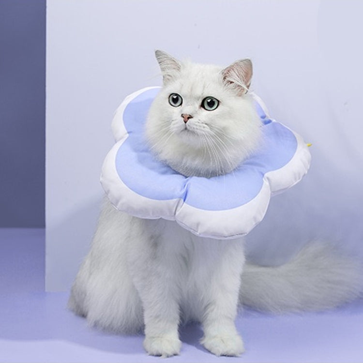 Pet anti-licking flower collar with light blue plush petals and white ruffled edge
