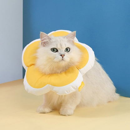 Pet anti-licking flower collar with yellow plush petals and white ruffled edge, worn by cat