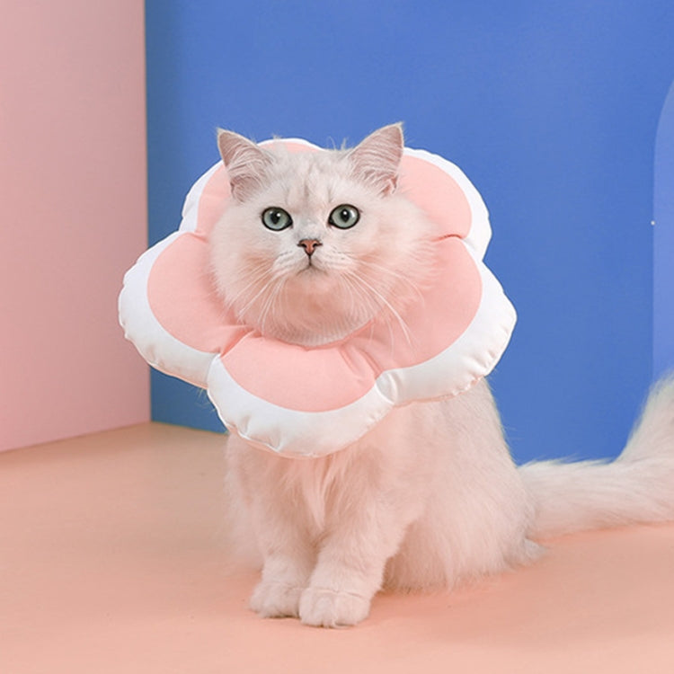 Pet anti-licking flower collar with pink plush petals and white ruffled edge, worn by cat