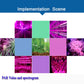 PAR value spectrogram graphic for plant growth light