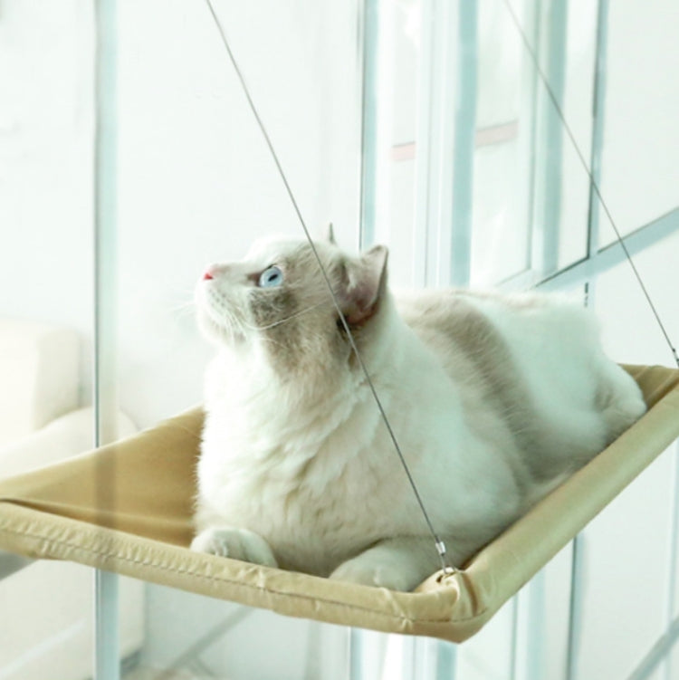 Cat lying on a tan window suction hammock with hanging cords