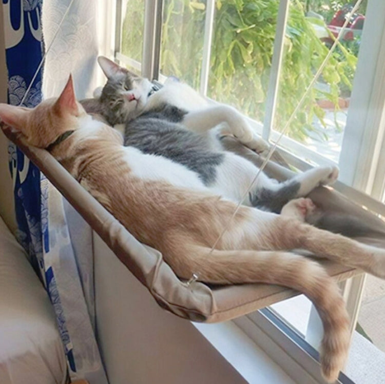 Three cats napping on a window suction cup hammock with tan fabric bed