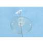 Transparent suction cup mount with cord for window hanging cat hammock