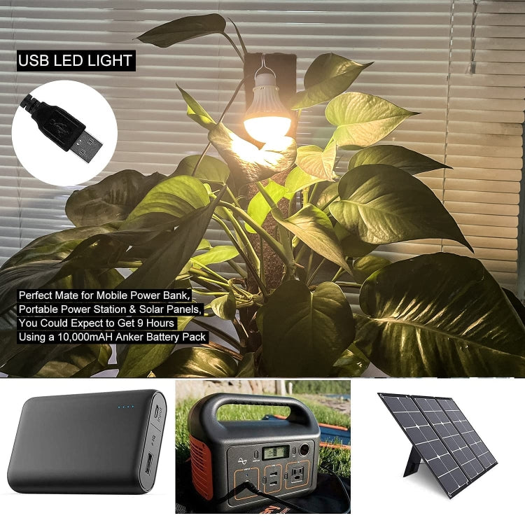 Two glowing USB camping bulb lights with warm white light and hanging cords