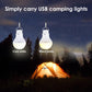 Two hanging USB camping bulb lights showing cool white and warm white glow