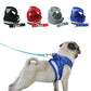 Blue reflective mesh dog safety vest harness with lead on a small dog