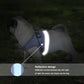 Blue reflective dog mesh safety vest harness with bright reflective strip and lead