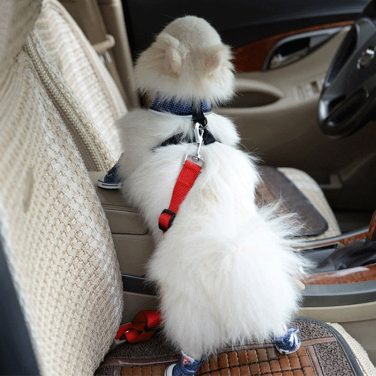 Pet car safety belt on dog, red nylon strap with metal hook clip