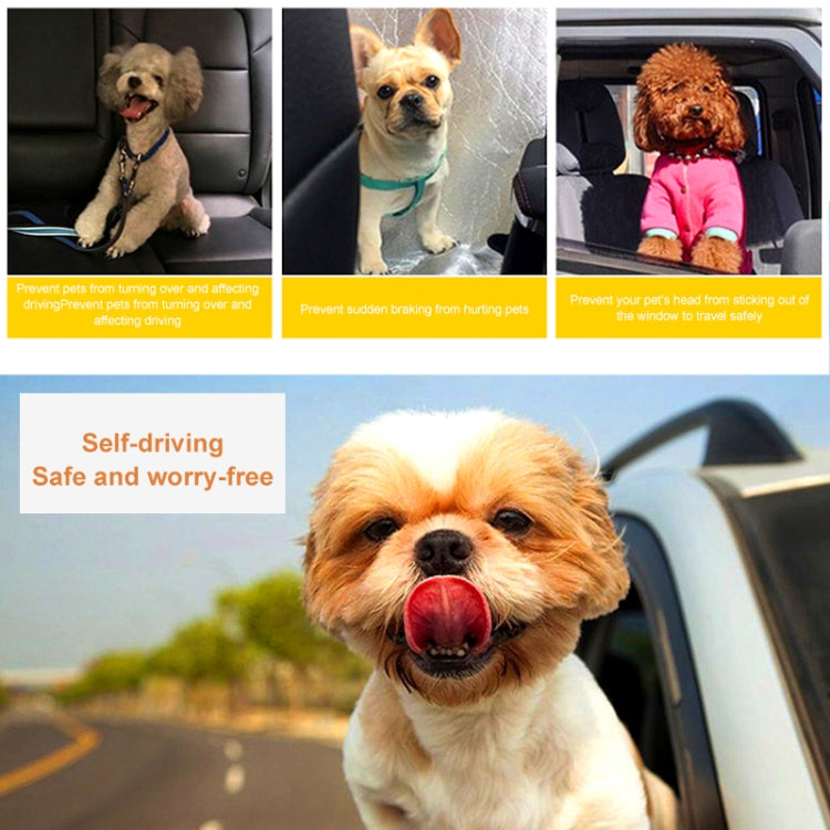 Pet car safety belt on seated dogs in car seats