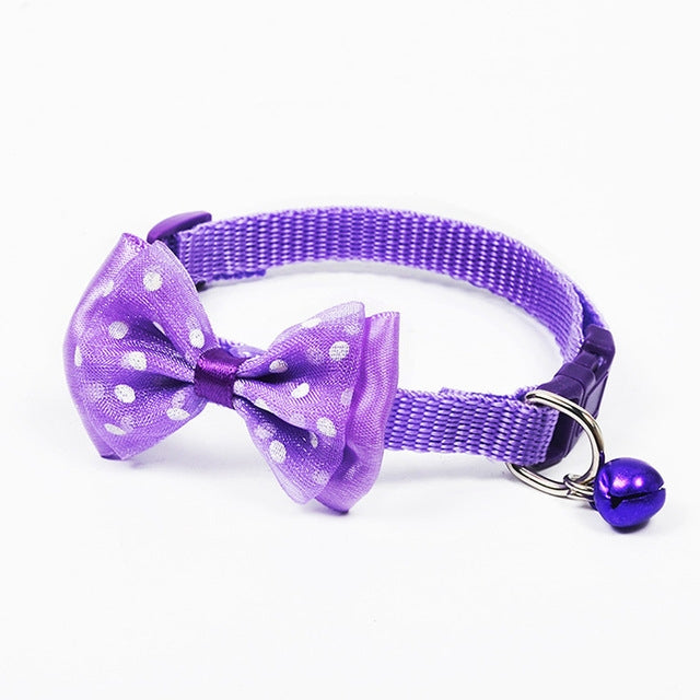 Adjustable pet bell collar with purple polka-dot bow and purple collar with purple bell