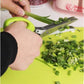 Green herb scissor shredder cutting green onions into small pieces